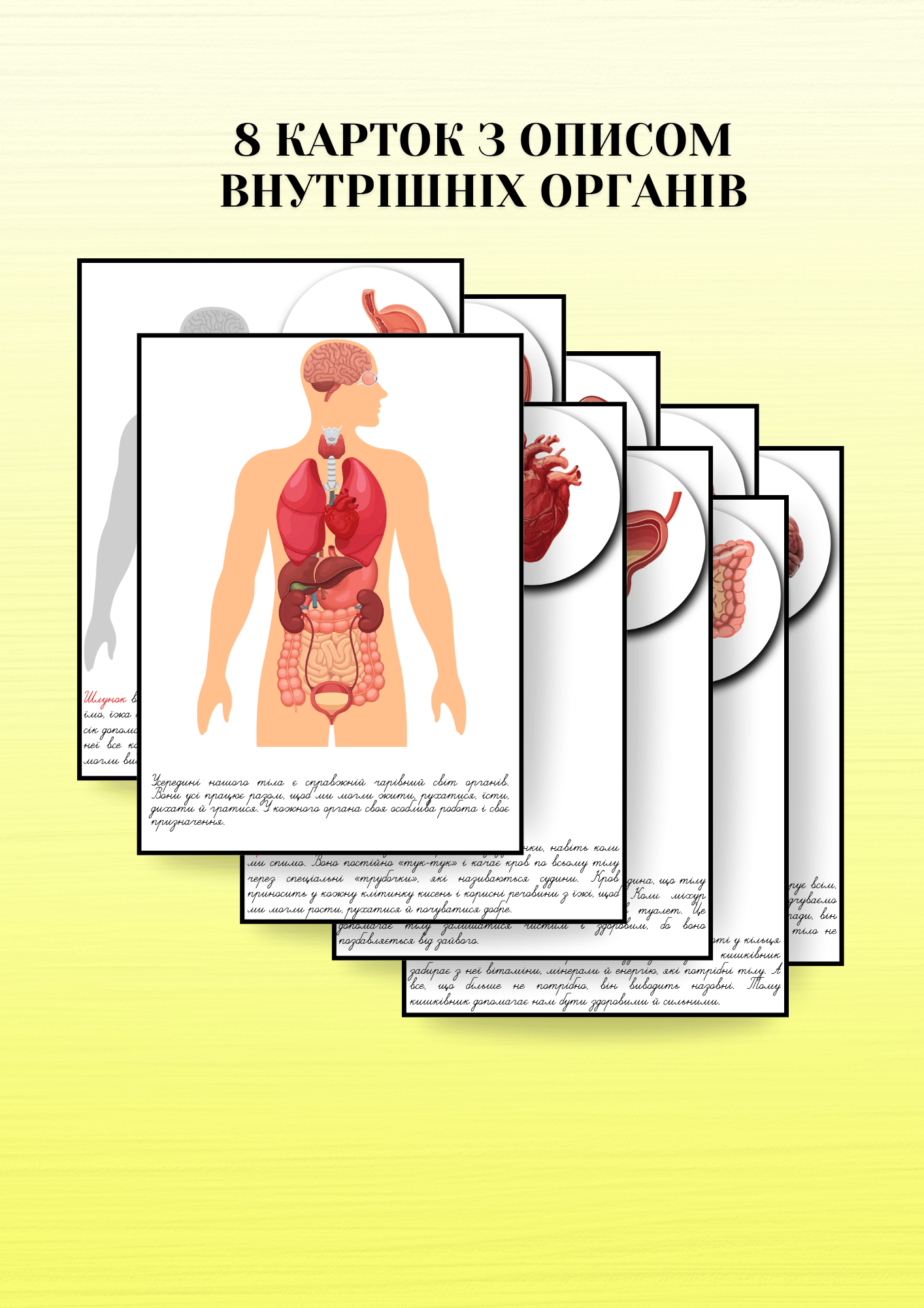 3 part cards organs A4 UA 2.png
