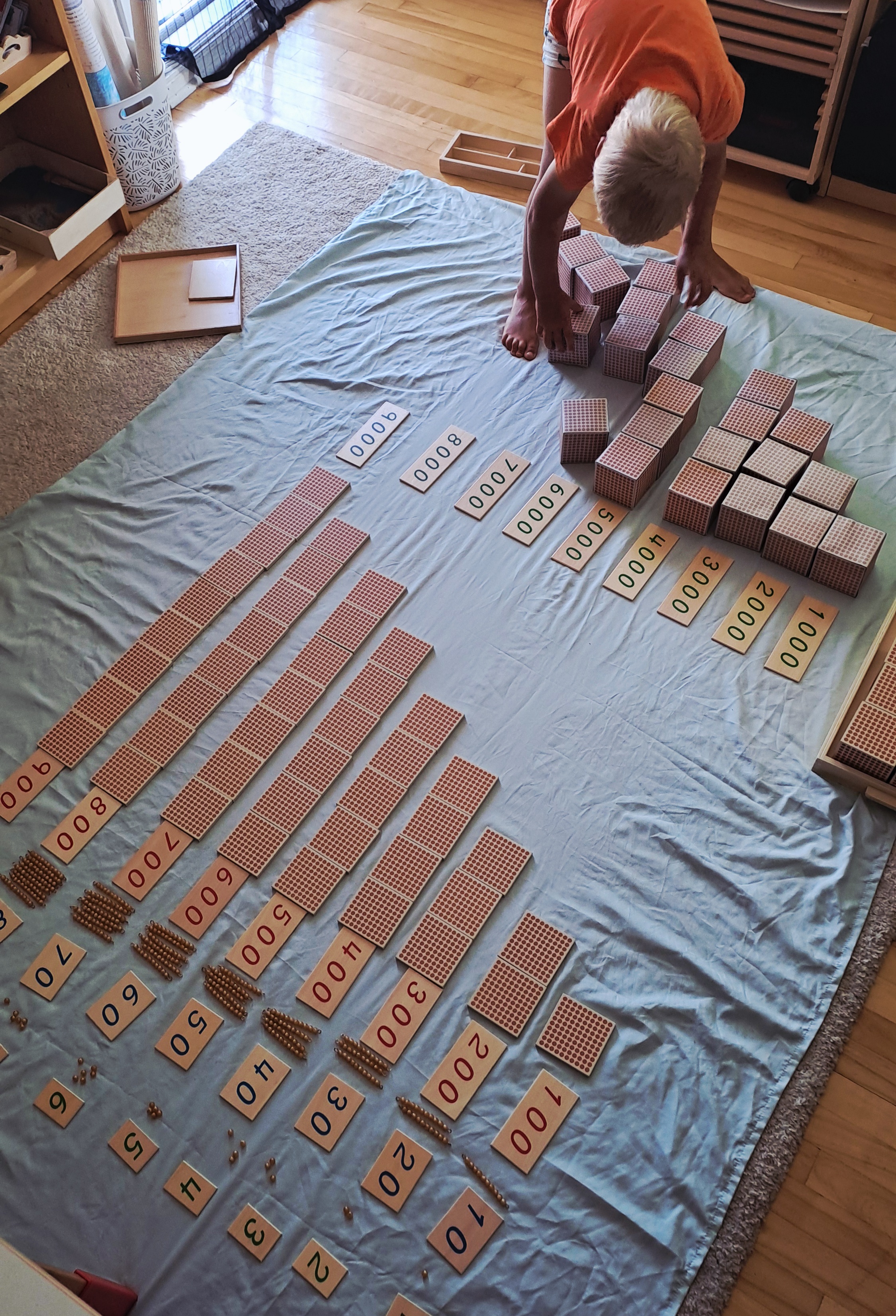 1000039590.jpg