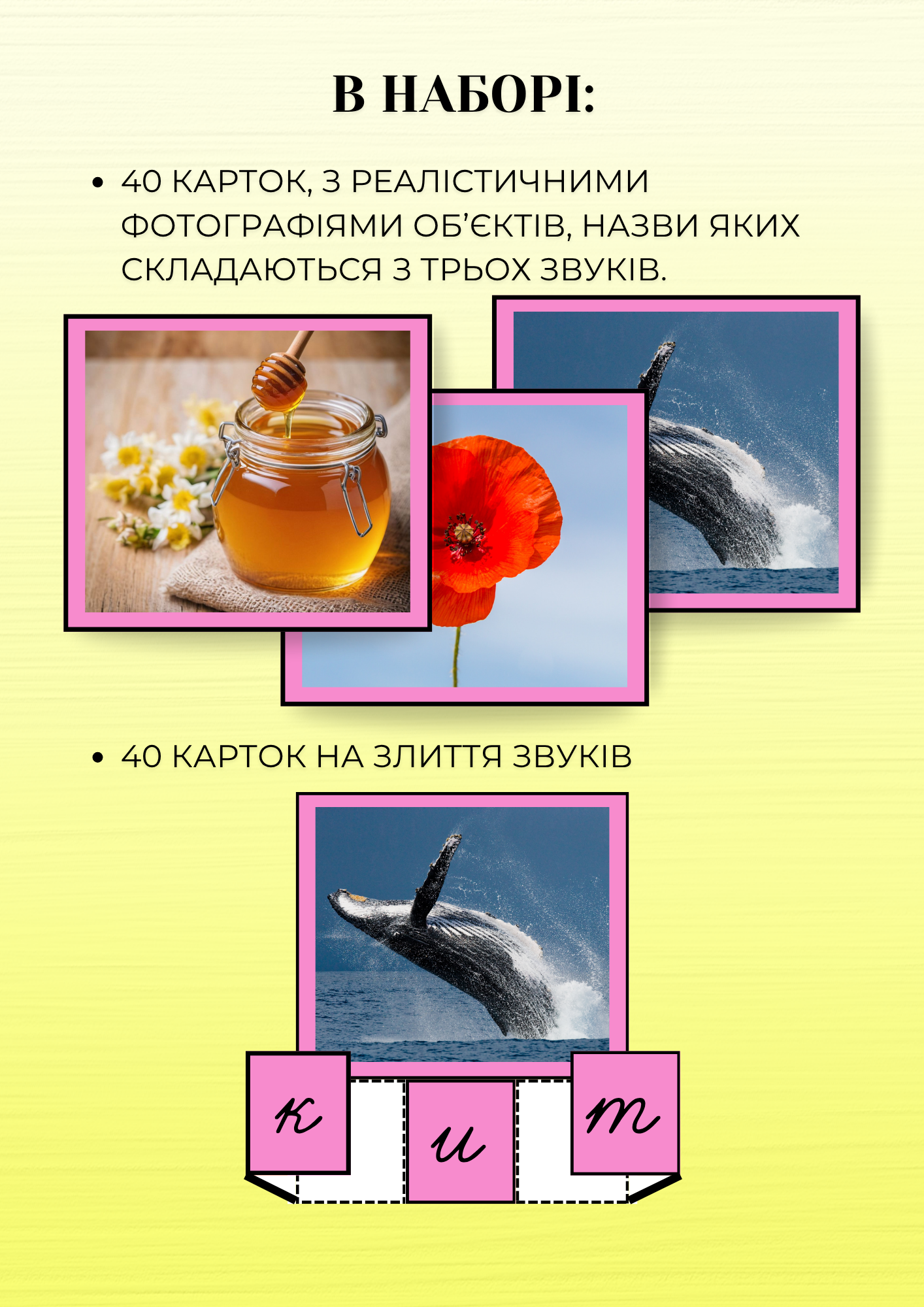 Pink Series segmenting A4  (2).png